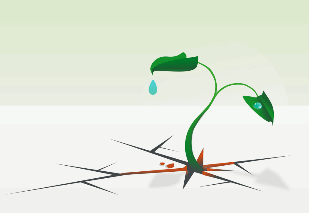 Different approaches to emotional resilience